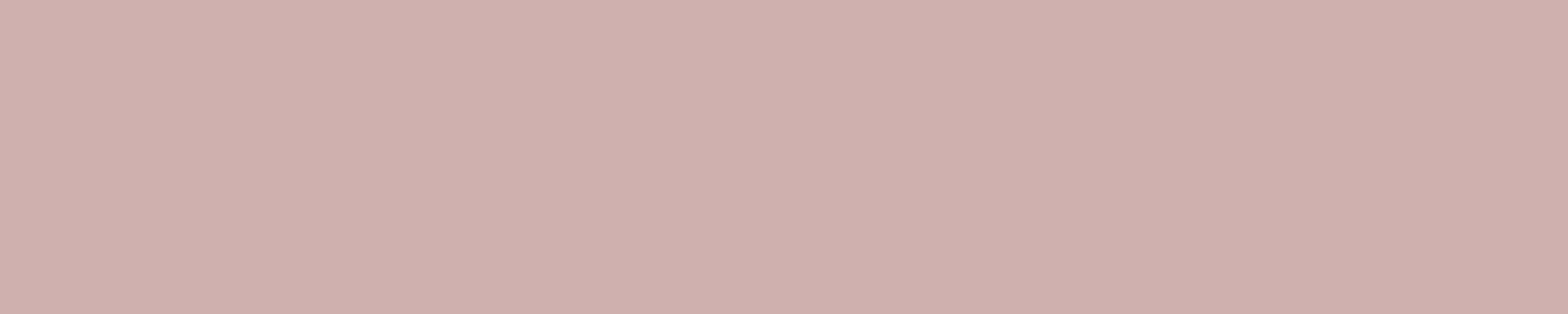 Стеновая панель 1031/soft Светло-розовый 3000х600х4